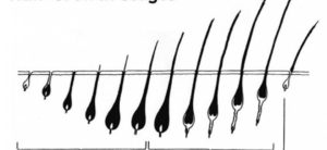 9647305_orig-960x440w